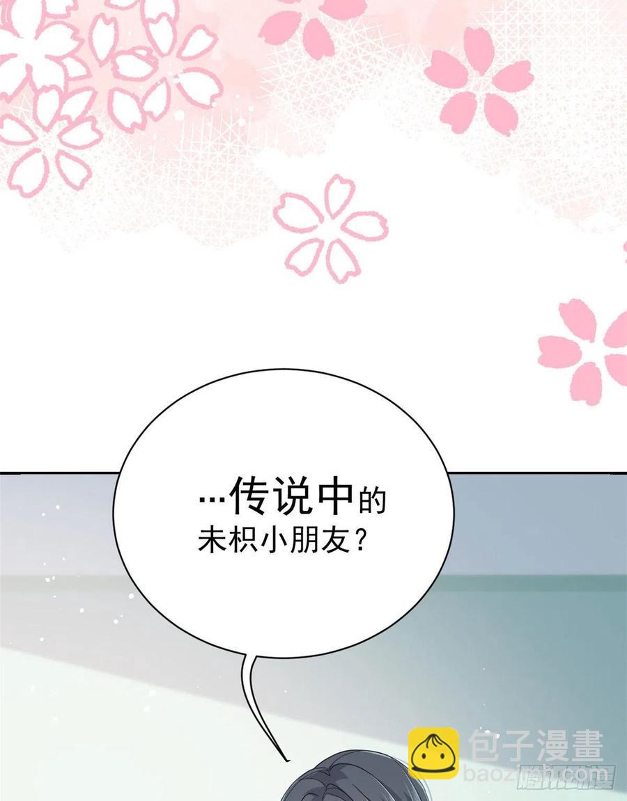 團寵大佬三歲半 - 第36話 傳說中的小未枳 - 7