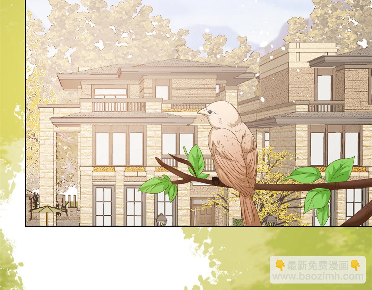 團寵大佬三歲半 - 第86話 超級土豪出沒！(2/3) - 3