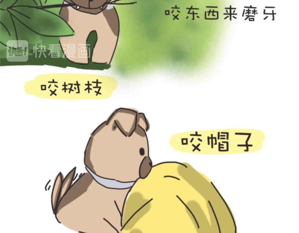 团哥二三事之探索篇-第1话