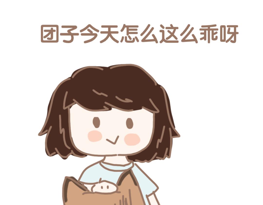 团子二三事之蚊子篇-第11话