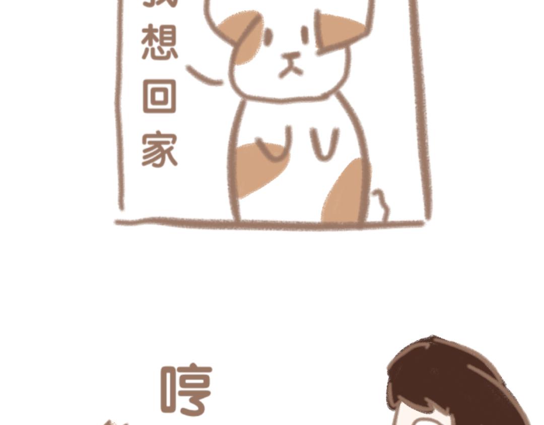 团哥二三事之日常篇-第13话