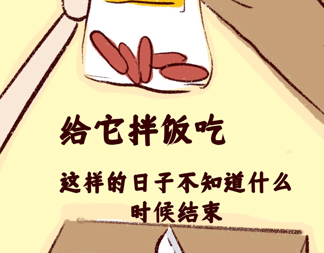 团哥二三事之物资篇-第21话