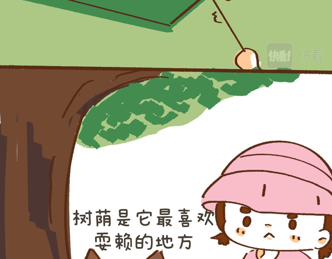 团哥二三事之夏日趣事篇-第25话