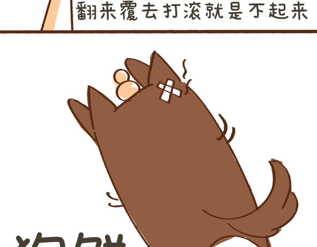 团哥二三事之夏日趣事篇-第25话