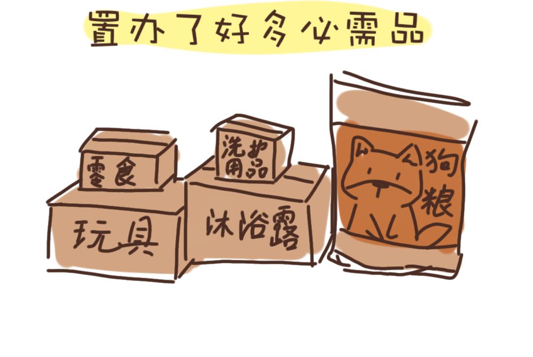 团哥二三事之网购-第5话