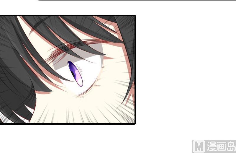 第13话 菲菲不见了(1/2)-第13话