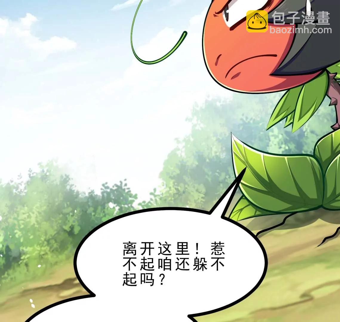 第21话 大炮当花盆(1/2)-第21话