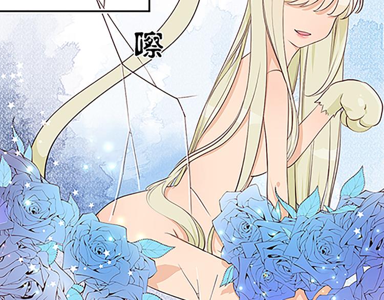 第17话 说好的猫耳娘呢？！-第19话