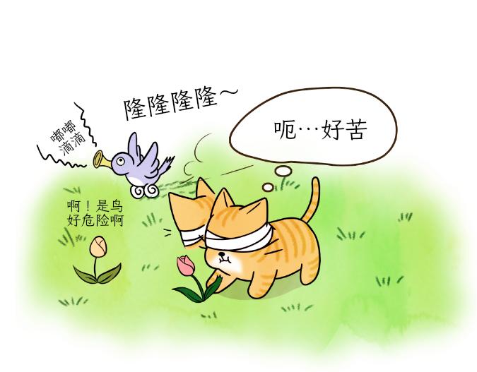 生命的故事-第15话