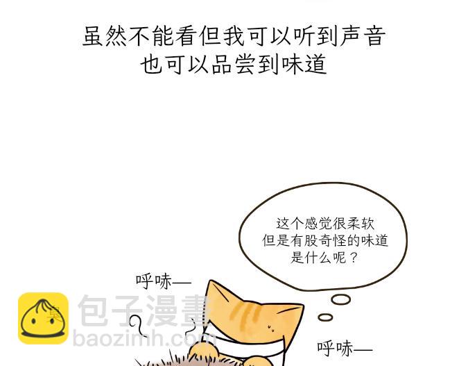 生命的故事-第15话