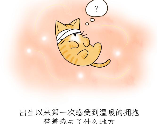 生命的故事-第15话