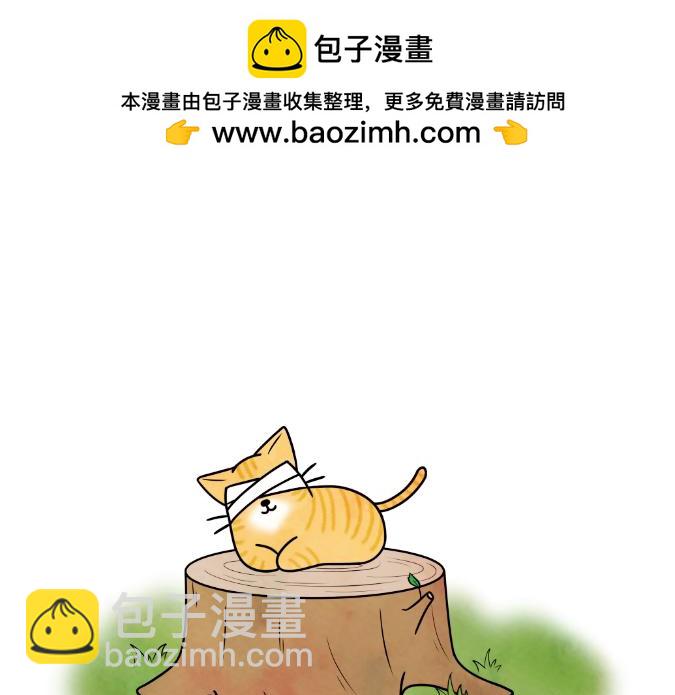 生命的故事-第15话