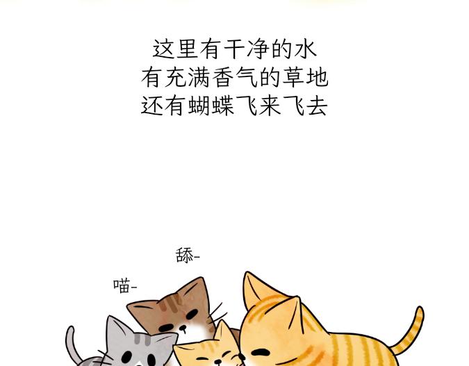 生命的故事-第15话