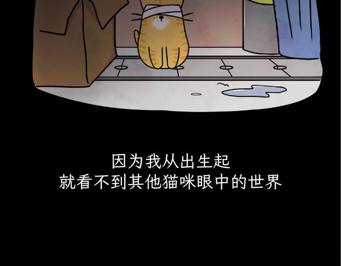 生命的故事-第15话