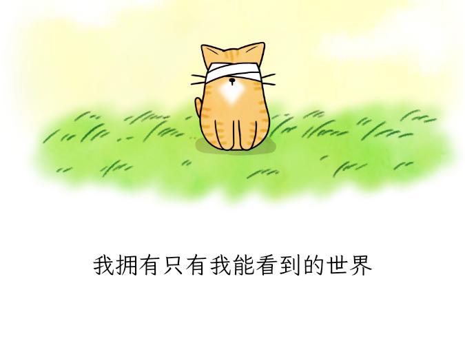 吐司貓咪POUNDCAT - 生命的故事 - 3