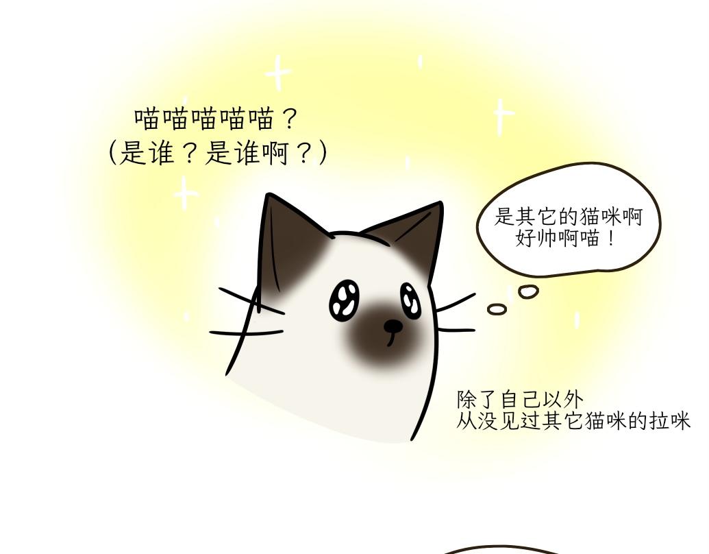 吐司貓咪POUNDCAT - 大無語事件 - 2