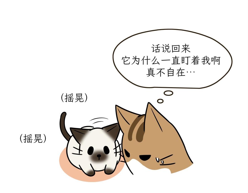 大无语事件-第17话