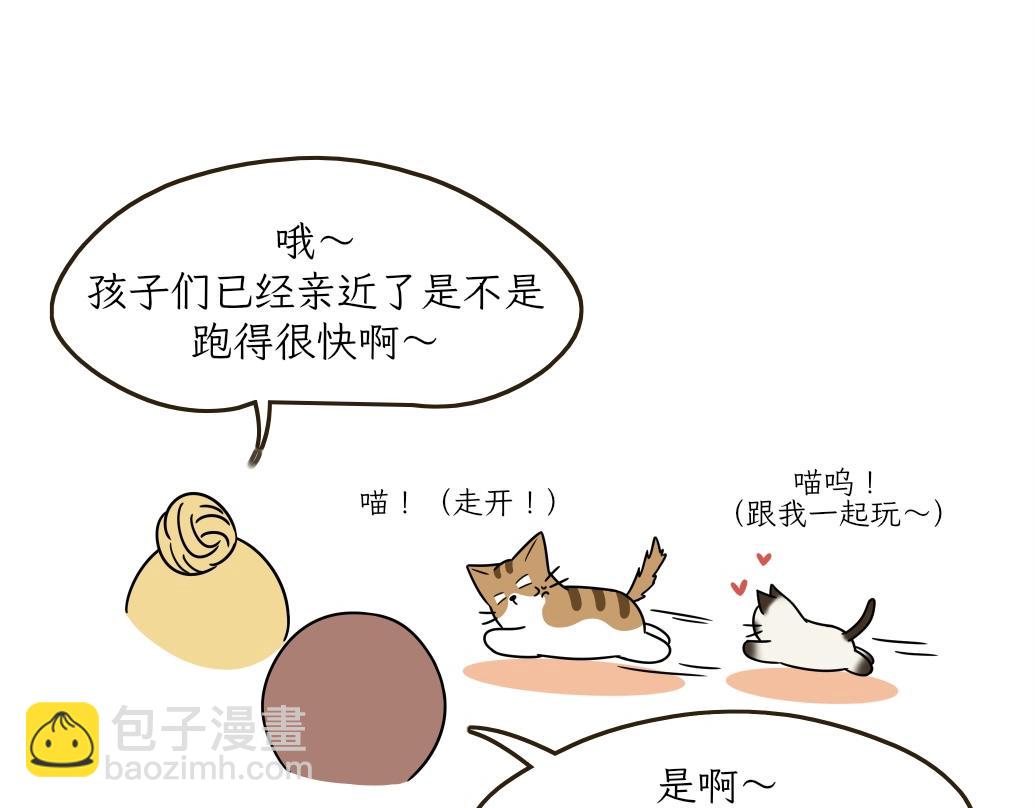 大无语事件-第17话