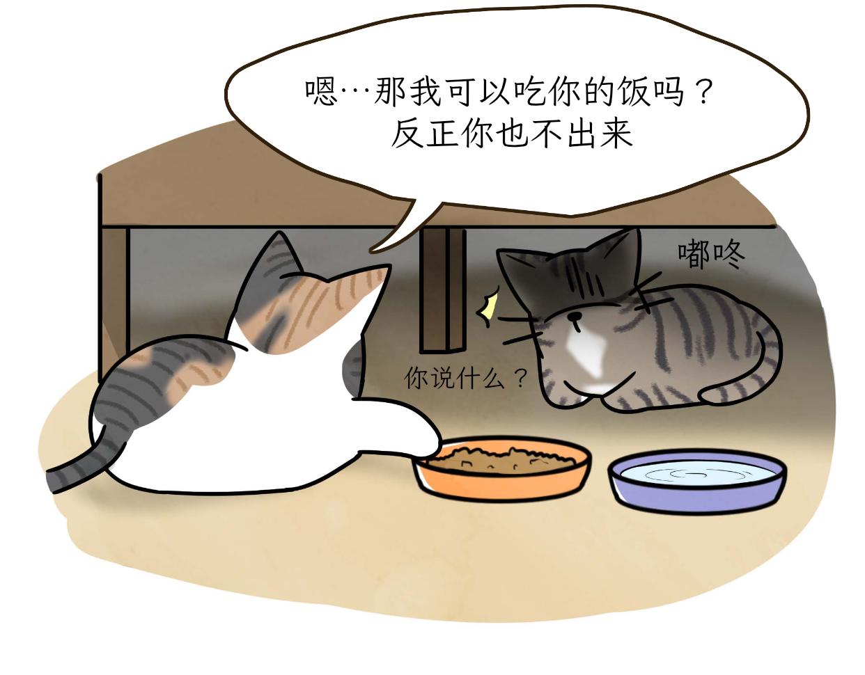 宝贝的过去-第19话