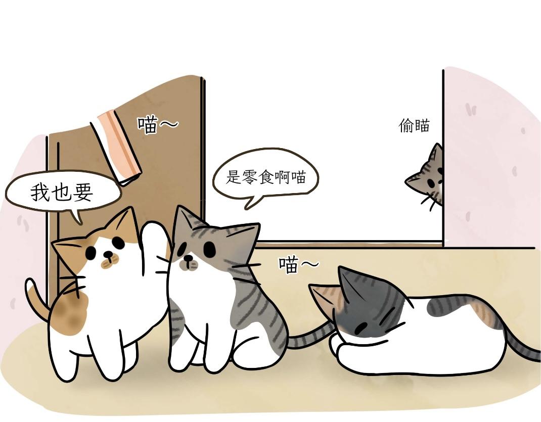 宝贝的过去-第19话