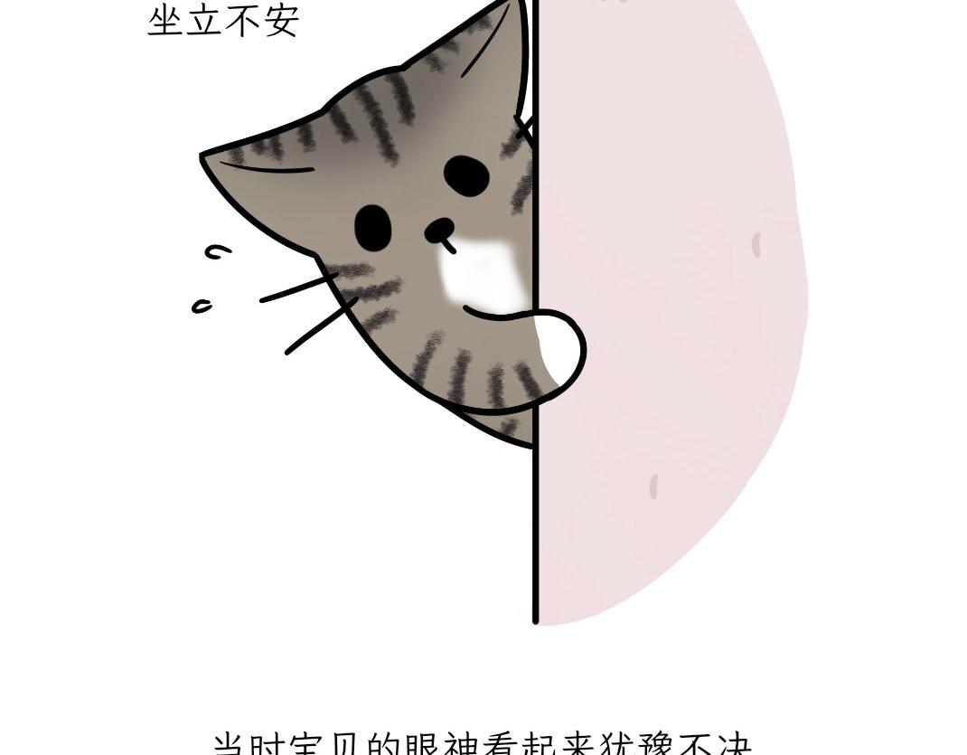 宝贝的过去-第19话