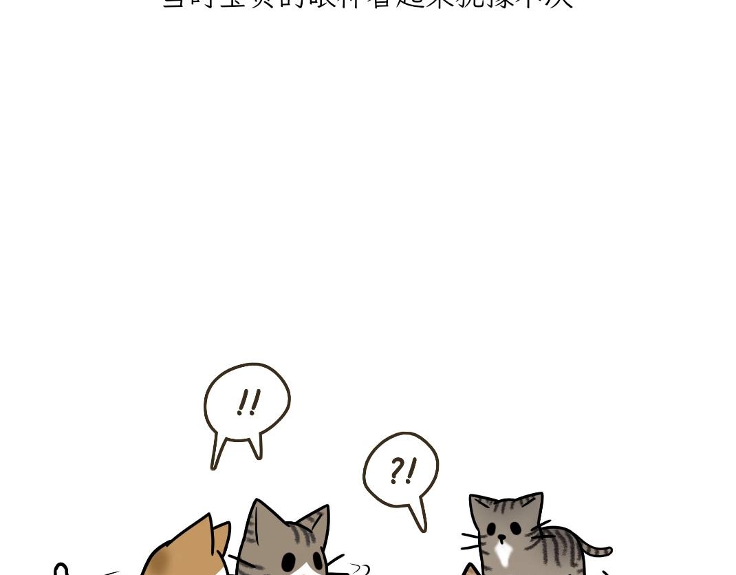 宝贝的过去-第19话