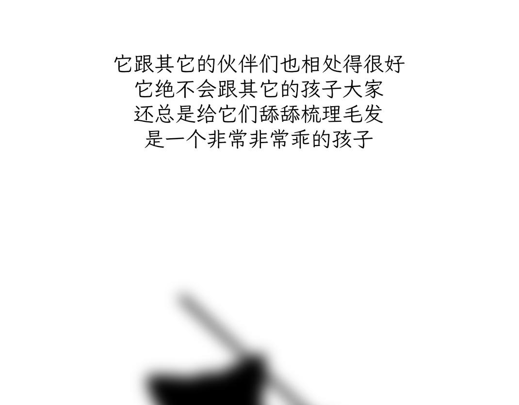 宝贝的过去-第19话