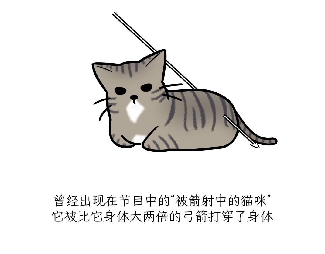 宝贝的过去-第19话