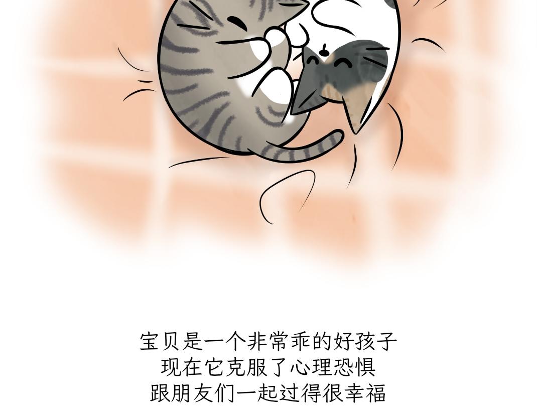 宝贝的过去-第19话