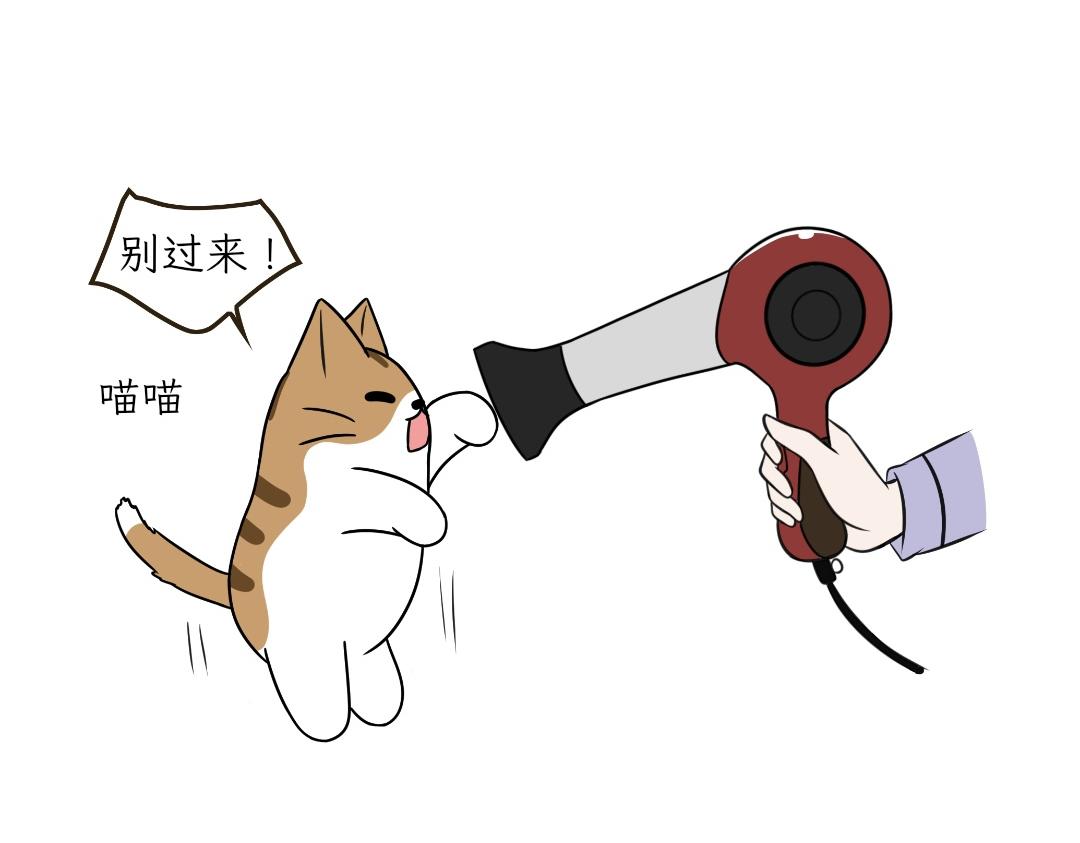 电热毯和吹风机-第21话