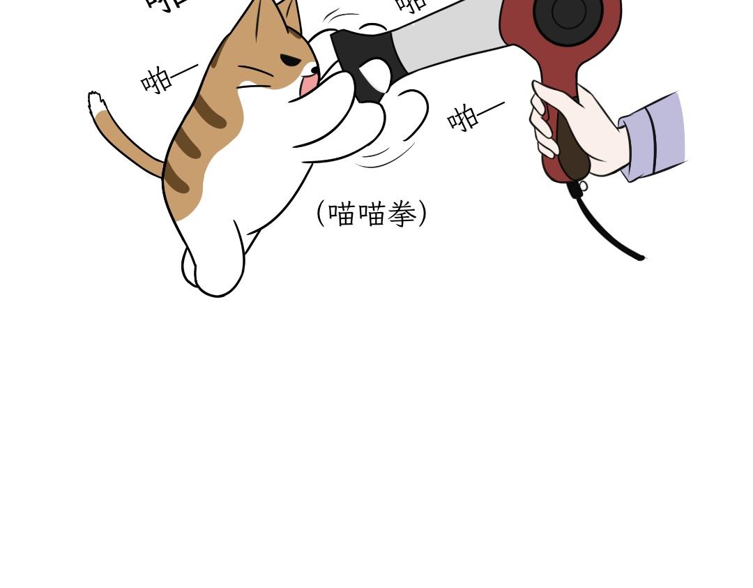 电热毯和吹风机-第21话