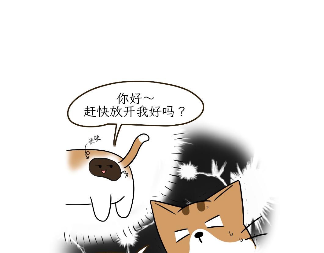 热可可的新身份-第23话