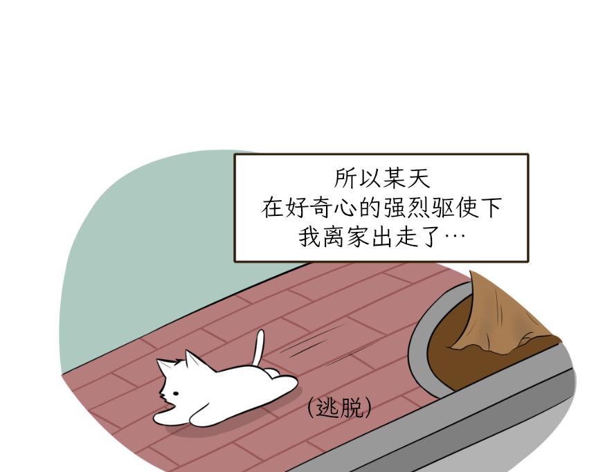 吐司貓咪POUNDCAT - 酸奶歷險記 - 4