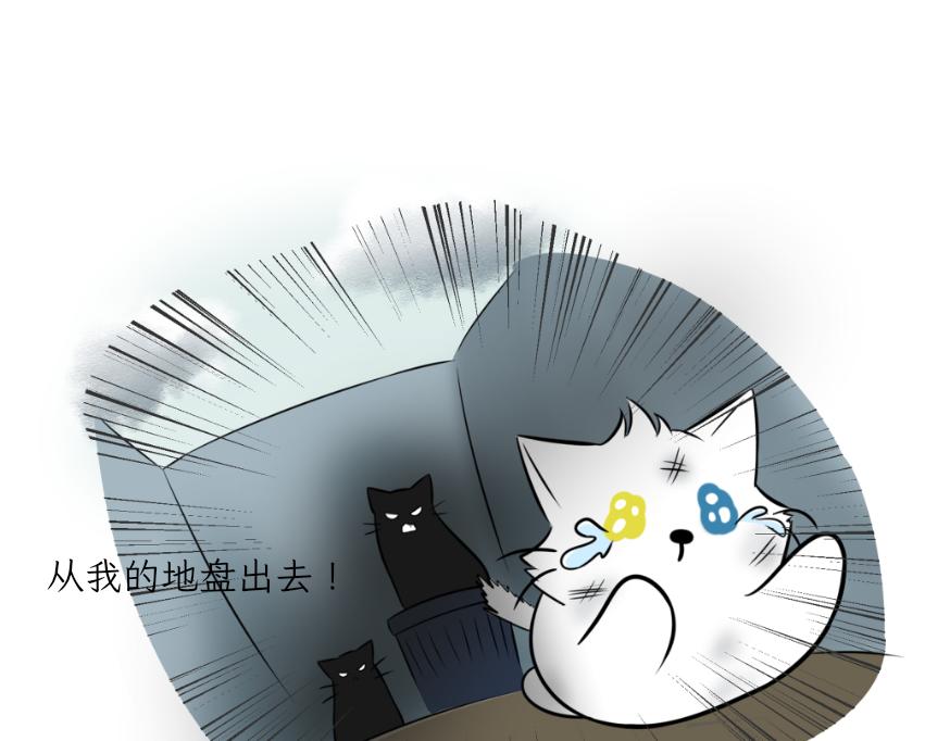吐司貓咪POUNDCAT - 酸奶歷險記 - 7