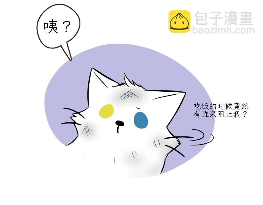 吐司貓咪POUNDCAT - 酸奶歷險記 - 7