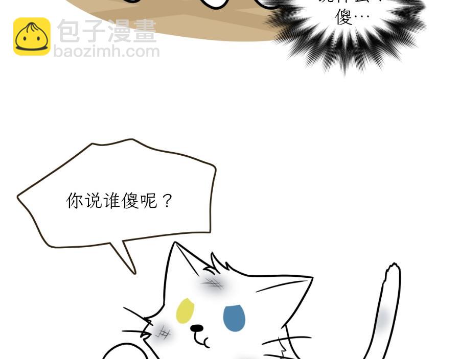 吐司貓咪POUNDCAT - 酸奶歷險記 - 3
