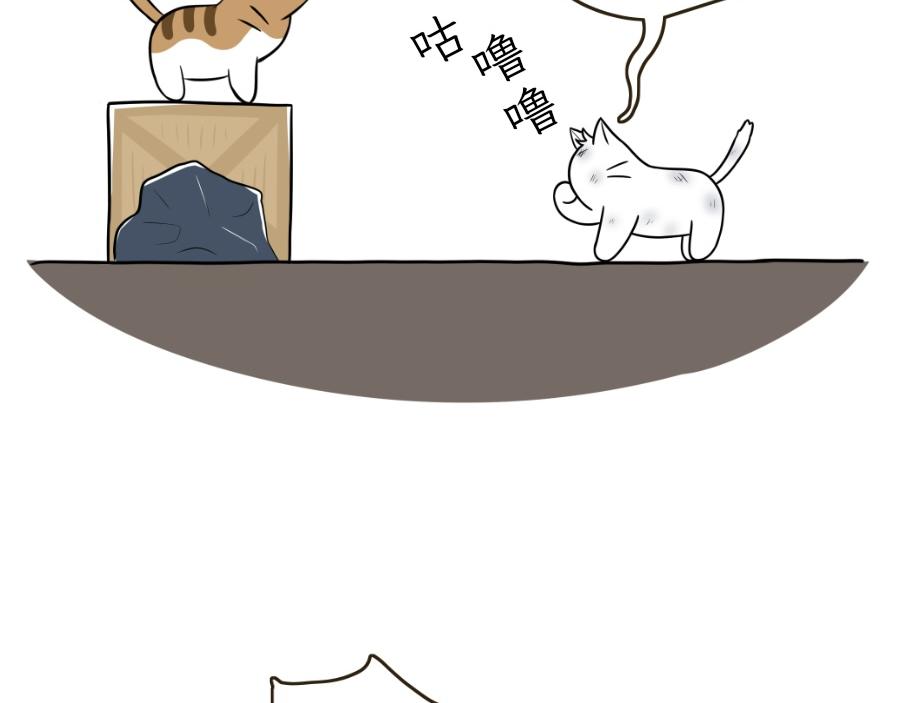 吐司貓咪POUNDCAT - 酸奶歷險記 - 5