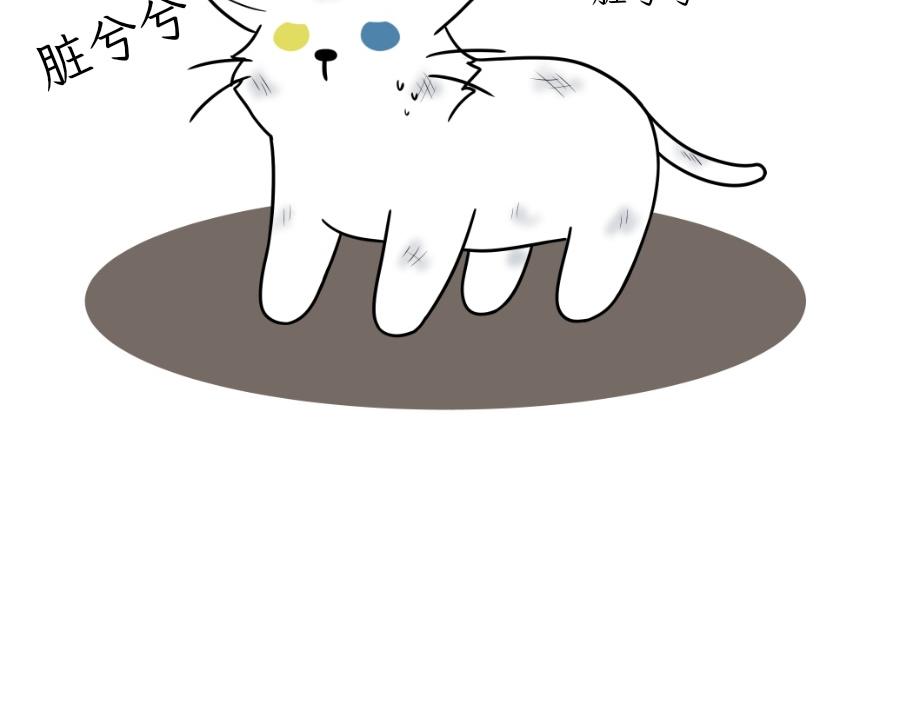吐司貓咪POUNDCAT - 酸奶歷險記 - 2