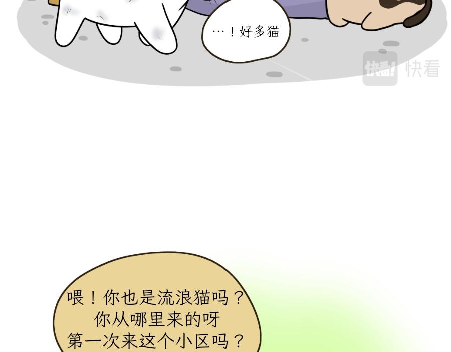 酸奶历险记-第25话