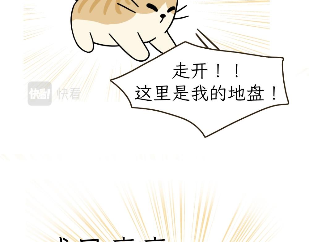 热可可的朋友们-第27话