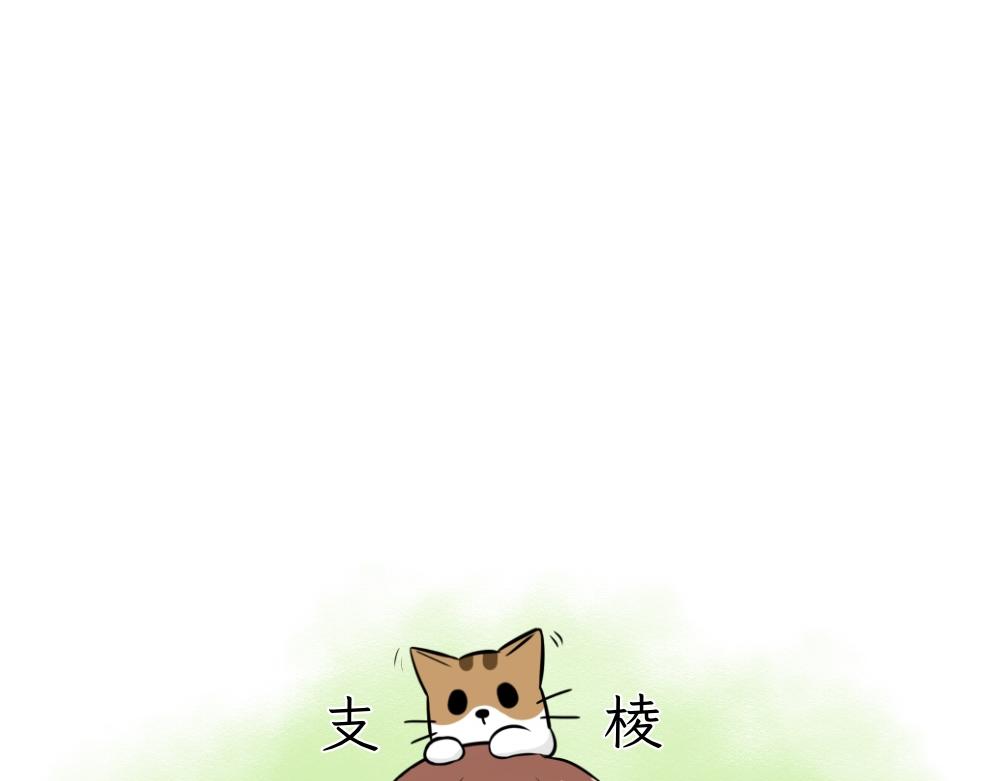 第一季完结章-第29话