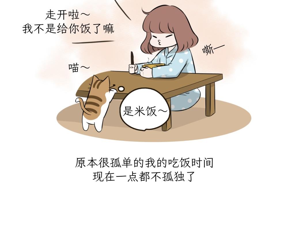 第一季完结章-第29话