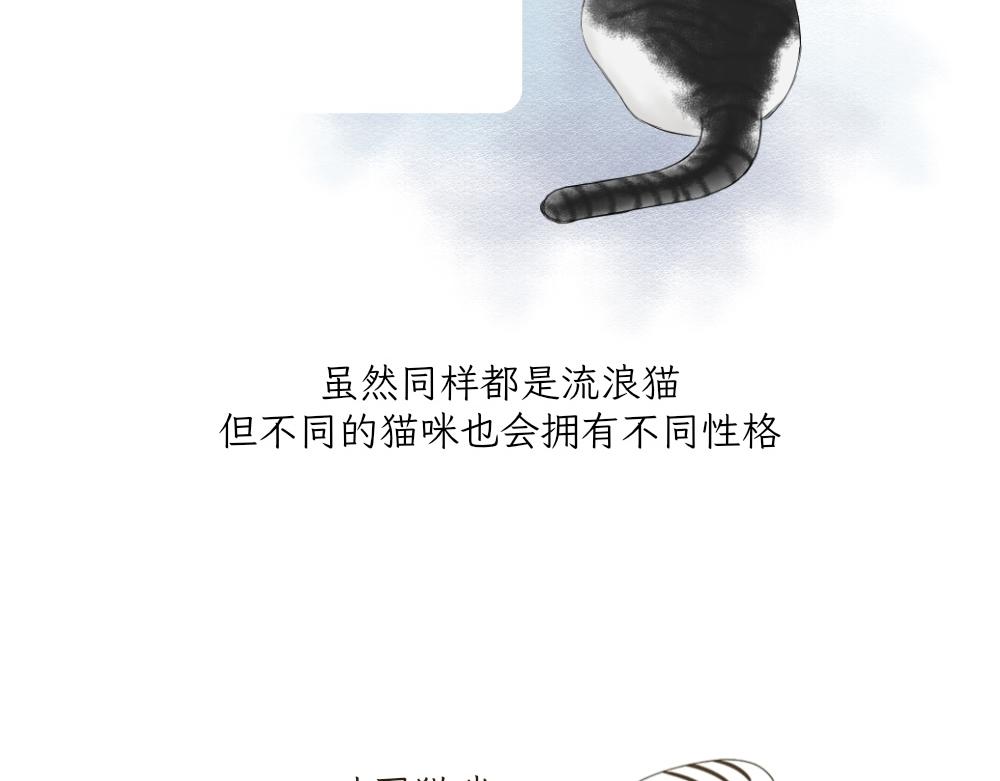 第一季完结章-第29话