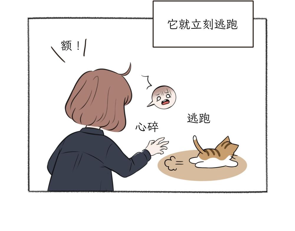 第一季完结章-第29话