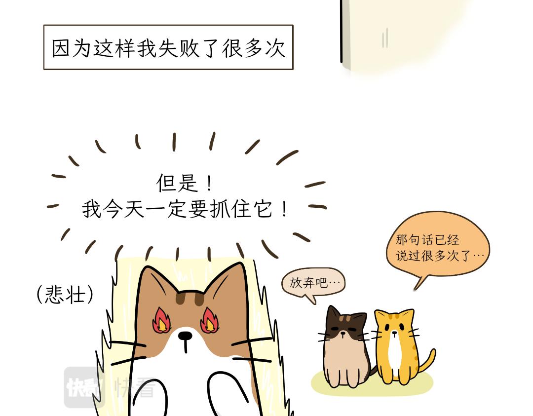 热可可的爱好-第3话