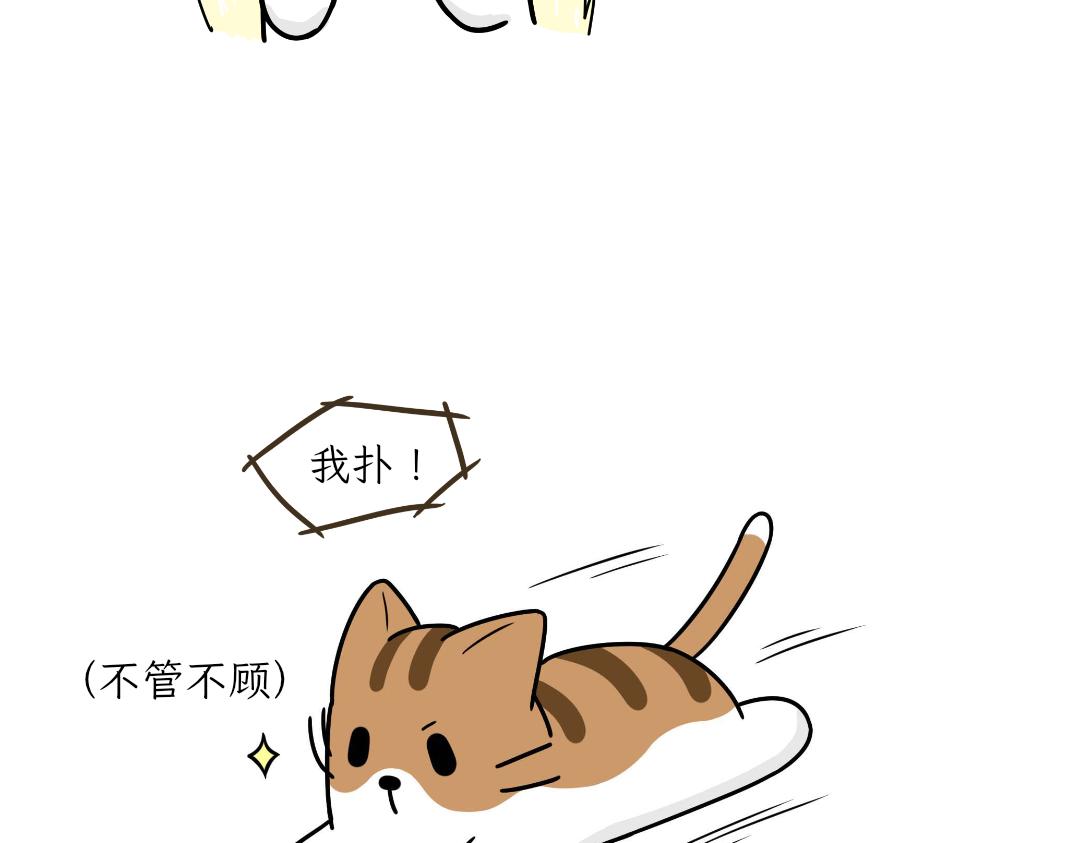 热可可的爱好-第3话