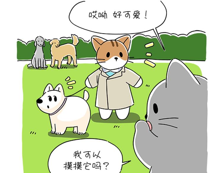 小奶油散步日记-第31话