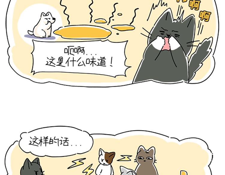 小奶油散步日记-第31话