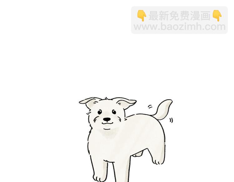 小石头的故事(1/2)-第33话