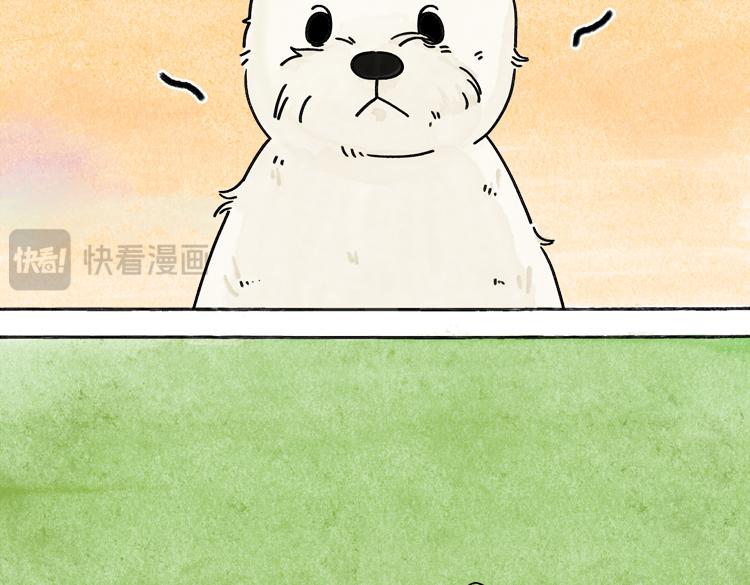 小石头的故事(1/2)-第33话